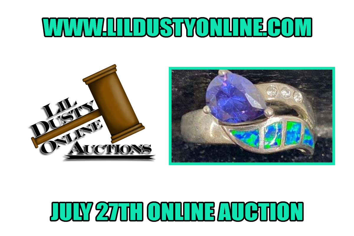 July 27th, 2022, Online Auction Pickup In Webberville