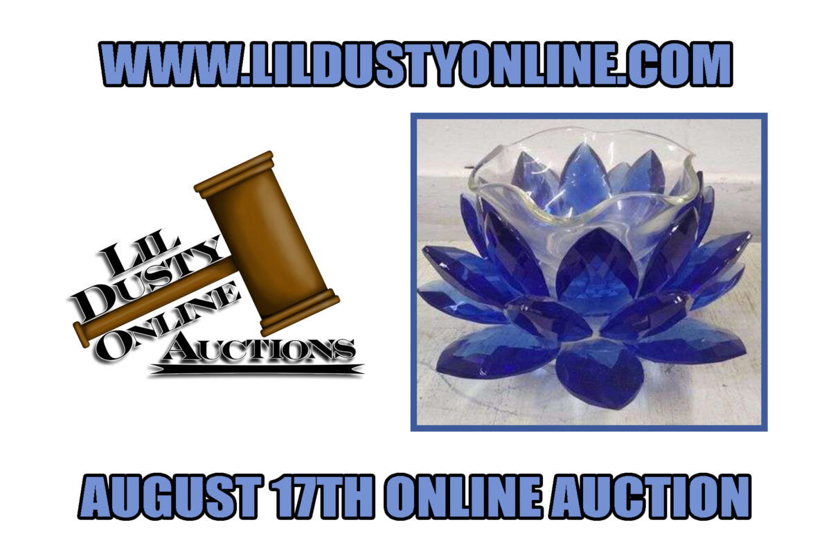 August 17th 2022 Mason, MI Online Auction Pickup In Webberville